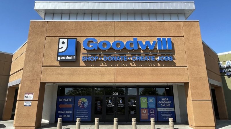 What is Goodwill Bins?