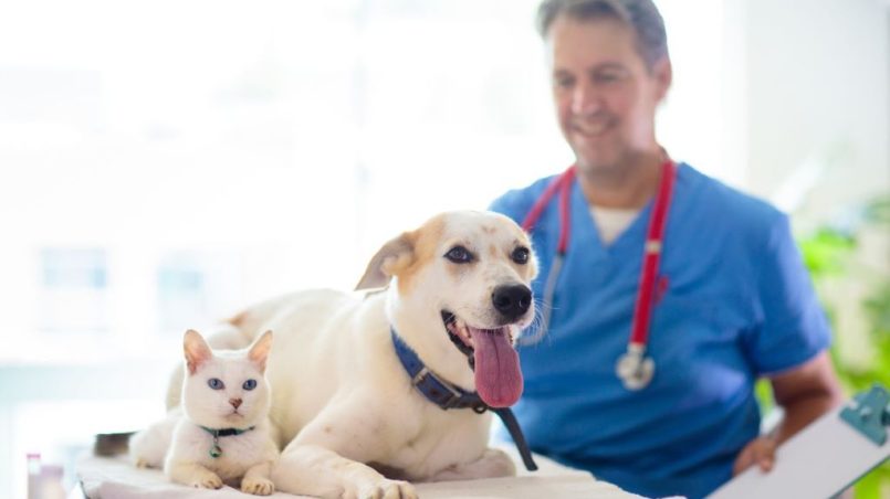 Pet owner shopping online for discounted pet and health products in California